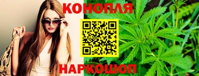 a pvp Камышлов