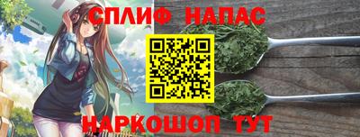спайс Гатчина