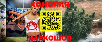 амф Гай