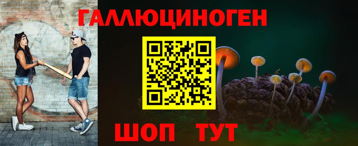 Псилоцибиновые грибы Psilocybine cubensis  Вход с VPN  Знаменск 